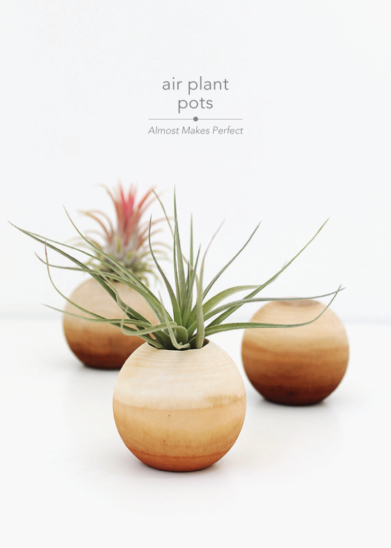 air plant pots Almost Makes Perfect-Design Crush