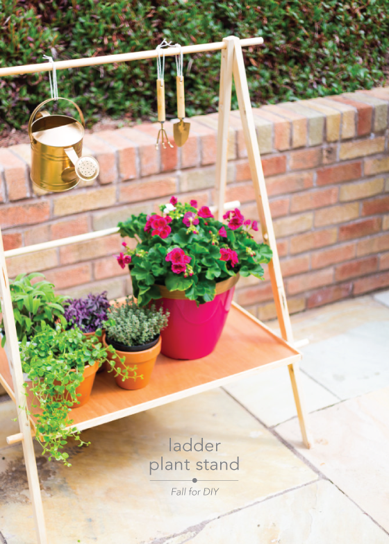 ladder-plant-stand-Fall-for-DIY-Design-Crush
