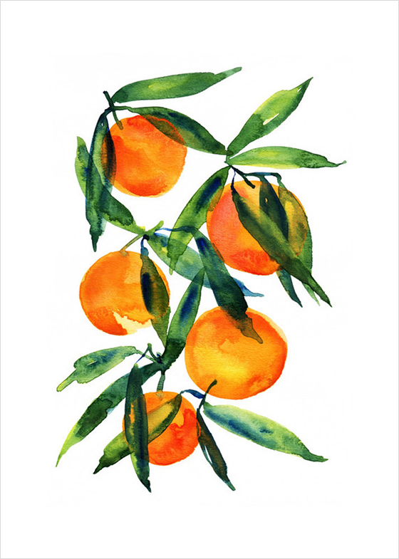 Tangerine-Alexandra Dzh-Design Crush