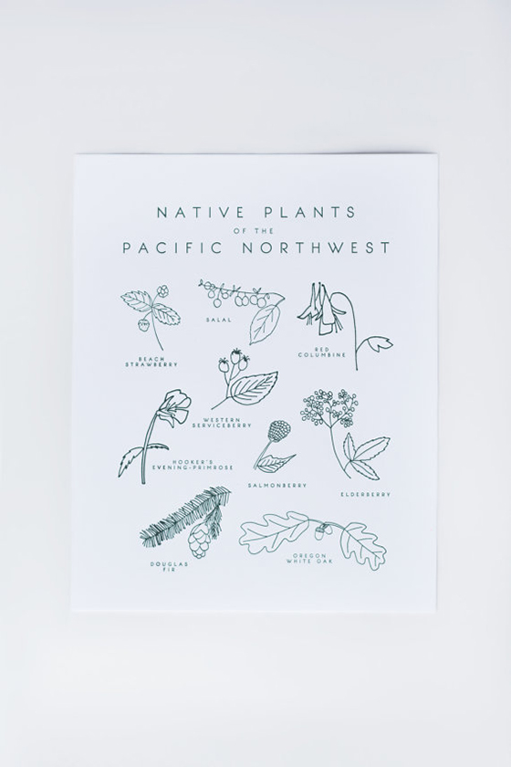 native plants of the pacific northwest-Taiga Press-Design Crush