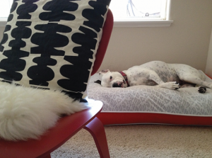 Hello, San Diego - Design Crush