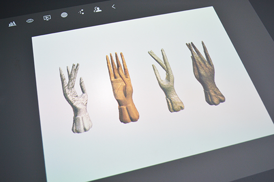 HP 3D Scanner-Hand Print-7-Design Crush