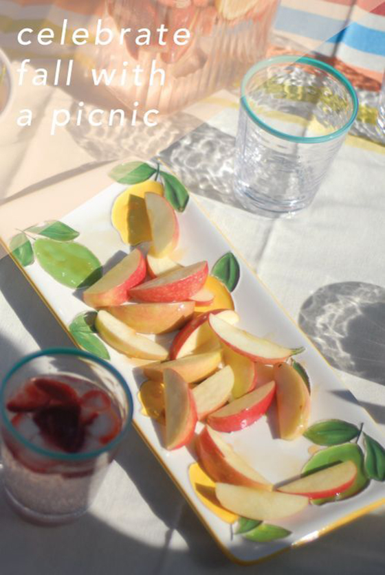 celebrate fall with a picnic-Design Crush