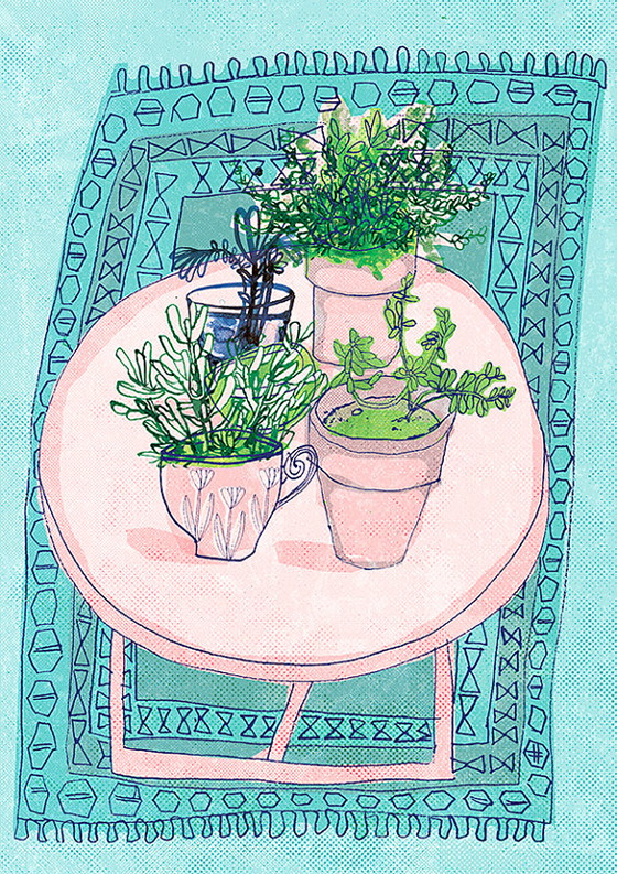 pink table top-lovely sweet william-Design Crush