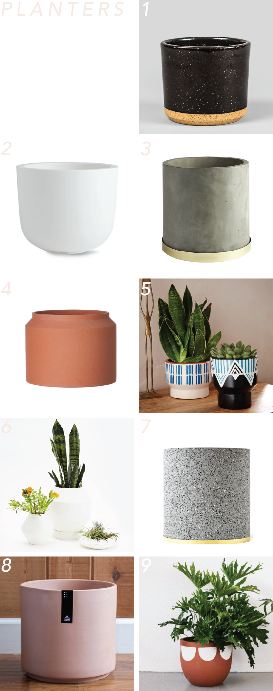 planters-design-crush