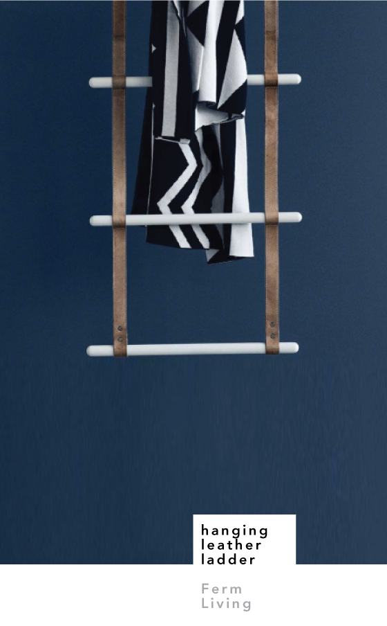 hanging-leather-ladder-design-crush