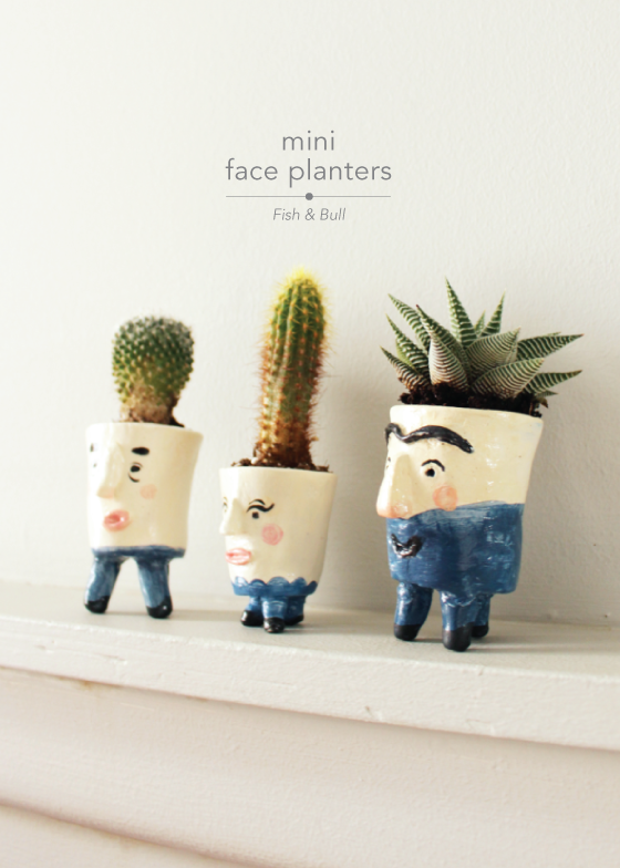 mini-face-planters-fish-bull-design-crush